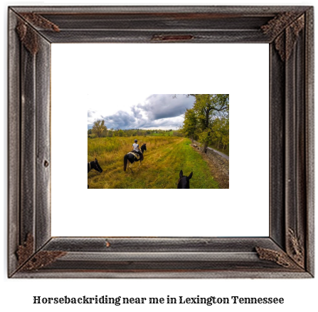 horseback riding near me in Lexington, Tennessee